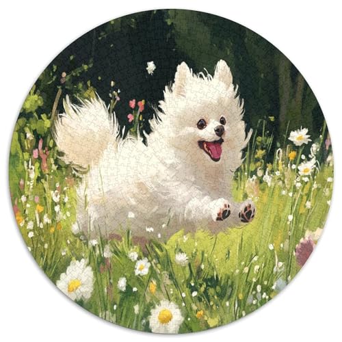 Pommern 1000 Teile Circular Puzzles Stressabbau-Spielzeugfür Erwachsene Kinder Schwieriges Großes Pädagogisches Verringerter Druck Stressfreisetzung Spielzeug Geschenke Für Mama, 1000pcs (67.5x67. von GKWEQPQWK