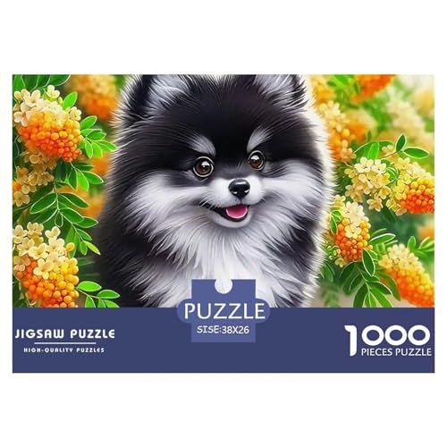 Pommern 1000 Teile Puzzle Für Erwachsene Und Kinder Ab 12 Jahren Herausforderndes Geschicklichkeitsspiel Für Die Ganze Familie Perfekt Für Spieleabende Geschenk Für Liebhaber Oder Freunde 38x26cm/ von GKWEQPQWK