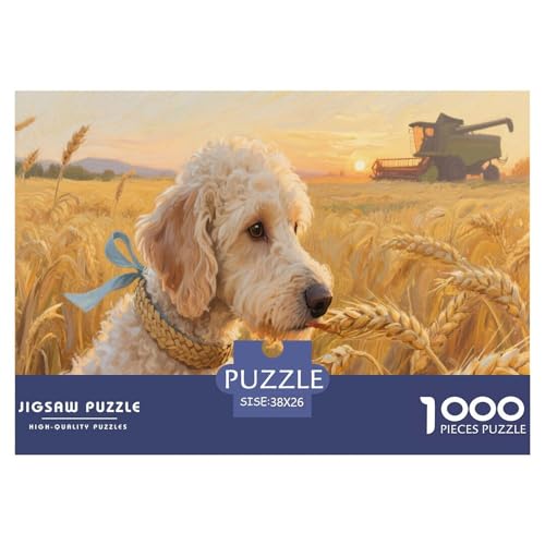 Poodle 1000 Teilen Puzzle Für Erwachsene Und Kinder Herausforderndes Geschicklichkeitsspiel Für Die Ganze Familie Perfekt Für Spieleabende Geschenk Für Liebhaber Oder Freunde 38x26cm/1000pcs Poodle 1000 Teilen Puzzle Für Erwachsene Und Kinder Herausforderndes Geschicklichkeitsspiel Für Die Ganze Familie Perfekt Für Spieleabende Geschenk Für Liebhaber Oder Freunde 38x26cm/1000pcs von GKWEQPQWK