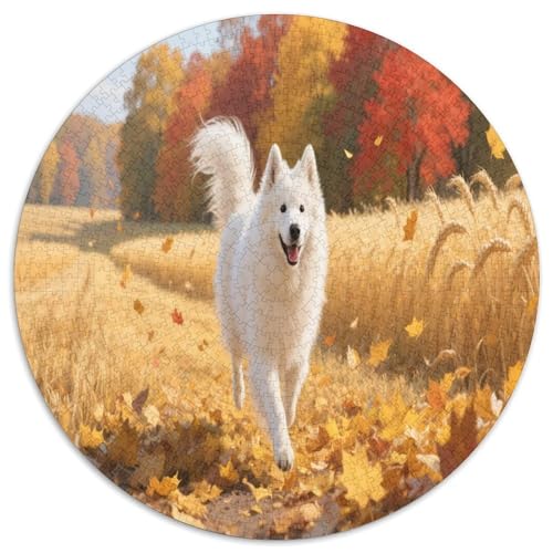 Samoje 1000 Teile Circular Puzzles Für Erwachsene Kinder Schwieriges Großes Pädagogisches Verringerter Druck Rundes Für Erwachsene Geschenke Für Mama, 1000pcs (67.5x67.5cm) von GKWEQPQWK