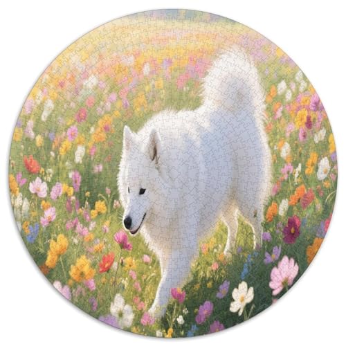 Samoje 1000 Teile Circular Puzzles Stressabbau-Spielzeugfür Erwachsene Kinder Schwieriges Großes Pädagogisches Verringerter Druck Stressfreisetzung Spielzeug Geschenke Für Mama, 1000pcs (67.5x67.5cm) von GKWEQPQWK