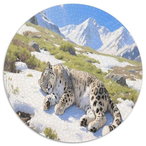 Schneeleopard 1000 Teile Circular Puzzles Erwachsene Und Kinder, Schwer, Stressfreisetzung Spielzeug Geschenke Für Mama, 1000pcs (67.5x67.5cm) von GKWEQPQWK