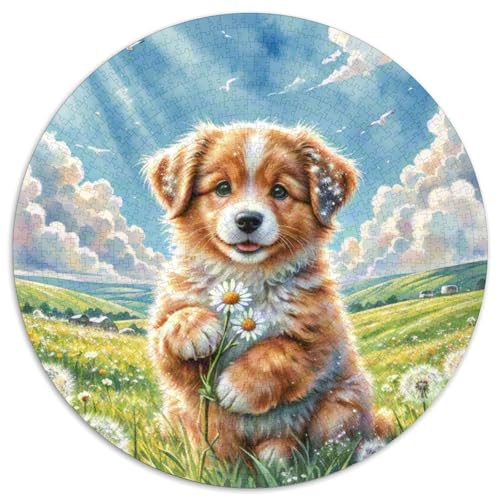 Setzer 1000 Teile Circular Puzzles Stressabbau-Spielzeugfür Erwachsene Kinder Schwieriges Großes Pädagogisches Rundes Für Erwachsene Geschenke Für Mama, 1000pcs (67.5x67.5cm) von GKWEQPQWK