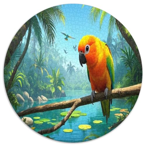 Sonne Conure 1000 Teile Circular Puzzles Stressabbau-Spielzeugfür Erwachsene Kinder - Schwer, Stressfreisetzung Spielzeug Geschenke Für Mama, 1000pcs (67.5x67.5cm) von GKWEQPQWK