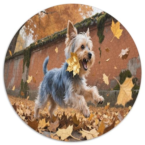 Yorkshire Terrier 1000 Teile Circular Puzzles Für Erwachsene Kinder Schwieriges Unmögliches Für Rundes Für Erwachsene Geschenke Für Mama, 1000pcs (67.5x67.5cm) von GKWEQPQWK
