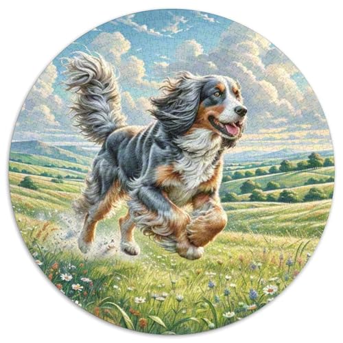havanesisch 1000 Teile Circular Puzzles Erwachsene Und Kinder, Schwer, Stressfreisetzung Spielzeug Geschenke Für Mama, 1000pcs (67.5x67.5cm) von GKWEQPQWK