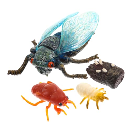 GLEAVI 1 Satz Simulation Cicada Growth Cycle Modellset Pädagogisches für des Wissens Naturwissenschaften Realistische Dekorationen aus Hochwertigem von GLEAVI