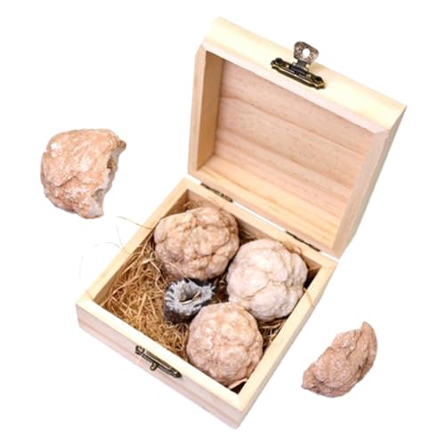 GLEAVI 1 Schachtel Höhlencluster-kristallkugel Geoden-kit Edelstein-ausgrabungsset Bausatz Zum Graben Von Steinen Rock-sammlung Mineralgesteinsset Graben Rock-kit Kristallachaterz von GLEAVI