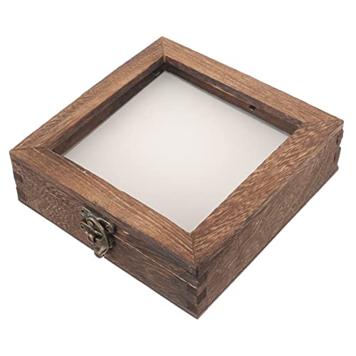 GLEAVI 1 Set Insektenprobenbox Aus Glas Schmetterlingsrahmenfänger Kleiner Probenrahmen Fliegende Schmetterlingsanzeige Geisterspinnendekor Schmetterling Getrocknete von GLEAVI