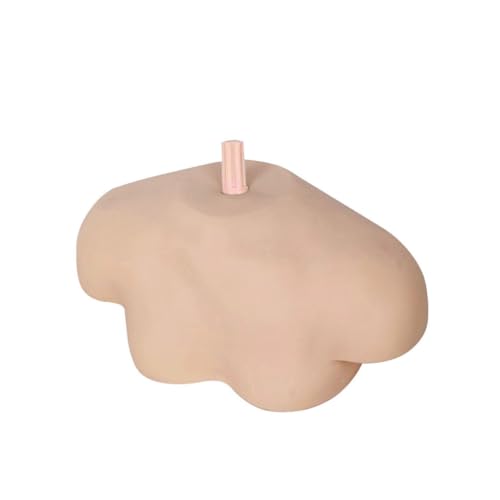GLEAVI 1 Stück Kopf Modell Schulter halterung Schulterstabilisator Schulterunterstützung Schulterform Haltung übungskopf shoulder support Simulation Schultermodell simulierte Schulter PVC von GLEAVI