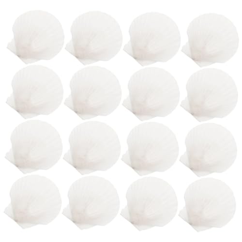 GLEAVI 16 Stück Muschelschale Muscheln Selber Malen Herstellung Küstendekor Muschel-anhänger Große Jakobsmuscheln Basteln Natürliches Muscheldekor Reiz Strand Für Hülse GLEAVI 16 Stück Muschelschale Muscheln Selber Malen Herstellung Küstendekor Muschel-anhänger Große Jakobsmuscheln Basteln Natürliches Muscheldekor Reiz Strand Für Hülse von GLEAVI