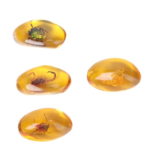 GLEAVI 4 Stück Insekten probe Bernstein dekorative Exemplare bezaubernde Exemplare empfindliche Kristallproben kreative Bernsteinproben Desktop -Verzierungen Kunstharz Golden GLEAVI 4 Stück Insekten probe Bernstein dekorative Exemplare bezaubernde Exemplare empfindliche Kristallproben kreative Bernsteinproben Desktop -Verzierungen Kunstharz Golden von GLEAVI