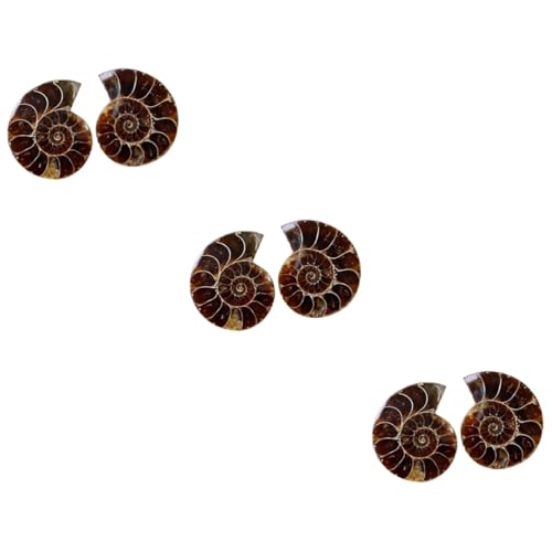 GLEAVI 6 Stk - -Marke Lehrmittel Schmuck Essen fossilien kinder Wohnkultur pädagogisches Spielzeug Simulationsmodell Haushalt Schnecken Tier Probe Student Werkzeug von GLEAVI