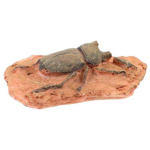 GLEAVI fossiles Exemplar Fossiler Anhänger simulierte Käferfigur fossile Sammlung home decor wohnungseinrichtung Kinderspielzeug Insektenexemplar Puzzle schmücken Modell Reptilienkiste von GLEAVI