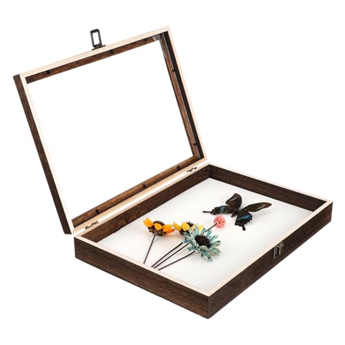 GLEAVI Kasten Muster Vitrine Sammlung Vitrine Museum Anzeige Fall Groß Rahmen Probenvitrine Gehäuse Probenständer Probenhalter Musterkoffer Vitrine Aus Holz Probenbehälter Hölzern von GLEAVI