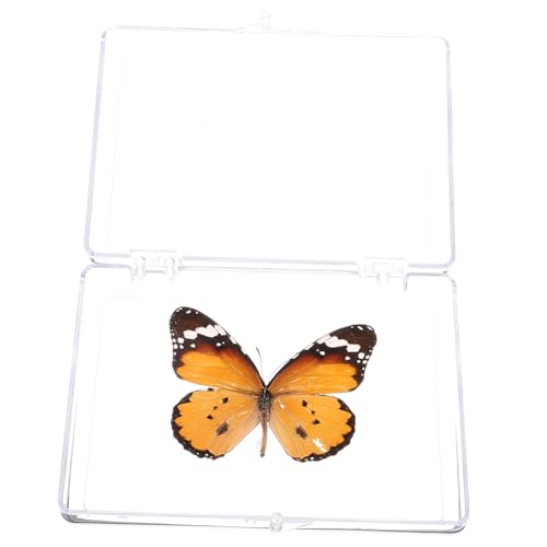GLEAVI Schmetterlings-Exemplar insektenbox insekten box Schmetterlingsdekoration Insekten-Dekoration Schmetterlingskuchendekorationen Displayhalter Heimdekoration Plastik GLEAVI Schmetterlings-Exemplar insektenbox insekten box Schmetterlingsdekoration Insekten-Dekoration Schmetterlingskuchendekorationen Displayhalter Heimdekoration Plastik von GLEAVI