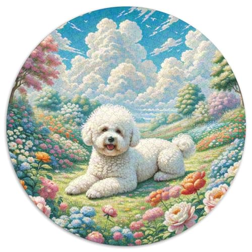 Bichon Frise 1000-Piece Jigsaw Puzzles Hund Round Puzzle Stress Relief Toys for Adults Children Kreativ No Colour Or Print Errors for Teenagers and Adults von GLFSDKFUR