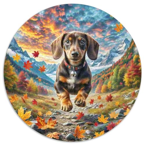 Dachshund 1000 Piece Jigsaw Puzzle Hund Circle Puzzles for Adults and Children Unmöglich No Colour Or Print Errors for Adults Dachshund 1000 Piece Jigsaw Puzzle Hund Circle Puzzles for Adults and Children Unmöglich No Colour Or Print Errors for Adults von GLFSDKFUR