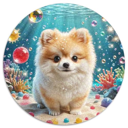 Pommern 1000-Piece Jigsaw Puzzles Hund Round Puzzle Educational Stress Relieving Toy for Adults & Children Kreativ No Colour Or Print Errors for Adults von GLFSDKFUR