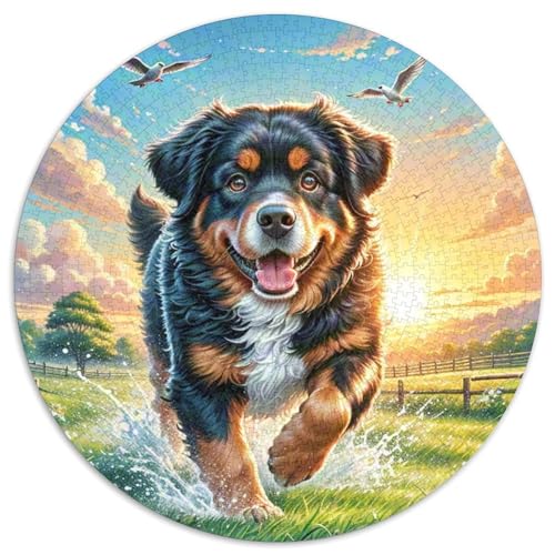 Rottweiler 1000-Piece Jigsaw Puzzles Hund Round Puzzles for Adults and Children Unmöglich No Colour Or Print Errors for Children Aged 5 and Up Rottweiler 1000-Piece Jigsaw Puzzles Hund Round Puzzles for Adults and Children Unmöglich No Colour Or Print Errors for Children Aged 5 and Up von GLFSDKFUR