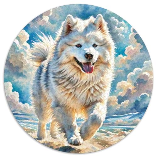 Samoyed 1000-Piece Jigsaw Puzzles Hund Round Puzzle for Adults and Children Unmöglich No Colour Or Print Errors for Teenagers and Adults von GLFSDKFUR