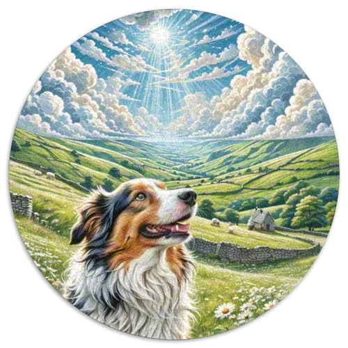 Shetlandsherhund 1000 Piece Jigsaw Puzzle Hund Circle Puzzles Educational Stress Relieving Toy for Adults & Children Kreativ No Colour Or Print Errors for Teenagers and Adults von GLFSDKFUR