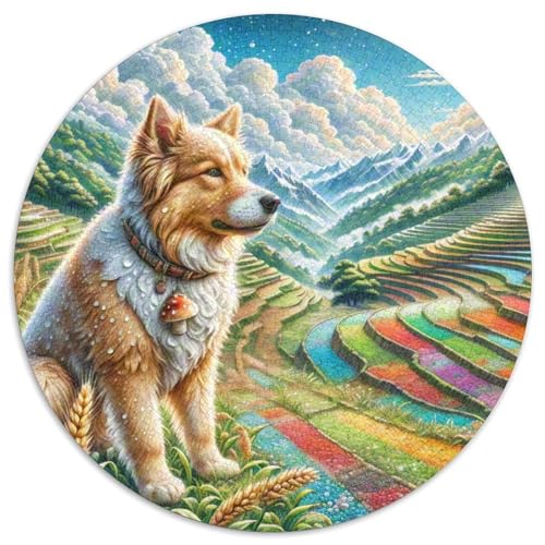 Tibetischer Terrier 1000 Piece Jigsaw Puzzle Hund Circle Puzzles for Adults and Children Kreativ No Colour Or Print Errors for Children Aged 5 and Up von GLFSDKFUR