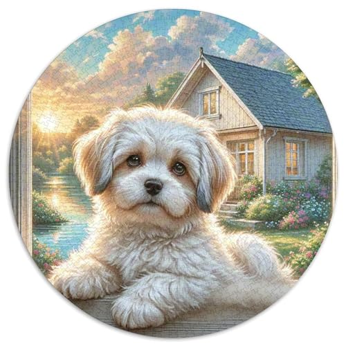 maltesisch 1000 Piece Jigsaw Puzzle Hund Circle Puzzles for Adults and Children Unmöglich No Colour Or Print Errors for Children Aged 5 and Up von GLFSDKFUR