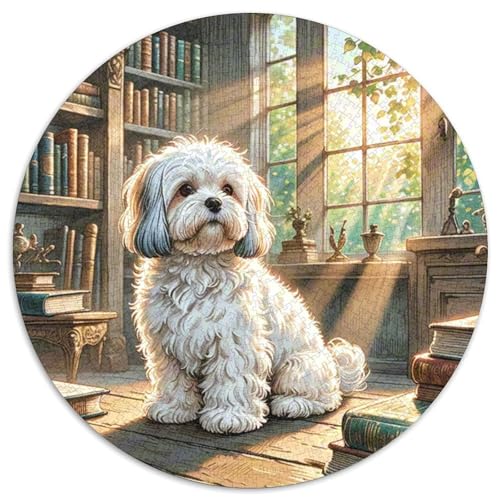 maltesisch 1000-Piece Jigsaw Puzzles Hund Round Puzzle Educational Stress Relieving Toy for Adults & Children Unmöglich No Colour Or Print Errors for Adults von GLFSDKFUR