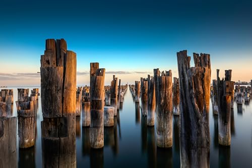 GLHUIOZ 1000 Teile Holzpuzzle DIY Scenery Abstract Moderne Wohnkultur Wandkunst Intelligenz Spiel Einzigartiges Geschenk Australien Marinas Melbourne 75x50cm GLHUIOZ 1000 Teile Holzpuzzle DIY Scenery Abstract Moderne Wohnkultur Wandkunst Intelligenz Spiel Einzigartiges Geschenk Australien Marinas Melbourne 75x50cm von GLHUIOZ
