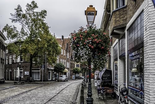 GLHUIOZ 1500 Teile Holzpuzzle DIY Scenery Abstract Moderne Wohnkultur Wandkunst Intelligenz Spiel Einzigartiges Geschenk Niederlande Doesburg Straße 87x57cm GLHUIOZ 1500 Teile Holzpuzzle DIY Scenery Abstract Moderne Wohnkultur Wandkunst Intelligenz Spiel Einzigartiges Geschenk Niederlande Doesburg Straße 87x57cm von GLHUIOZ