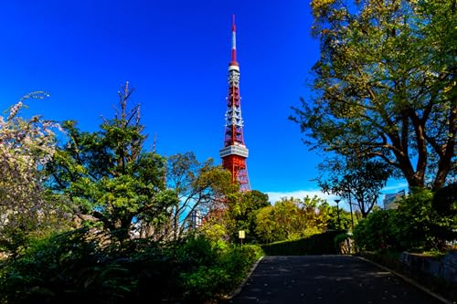 GLHUIOZ 500 Stück Puzzles für Erwachsene Teenager Stress abbauen Familien-Puzzlespiel mit Poster 500-teiliges Puzzle Kinder Lernspiel Spielzeug Geschenk Shiba-Park in Tokio, Japan 52x38cm von GLHUIOZ