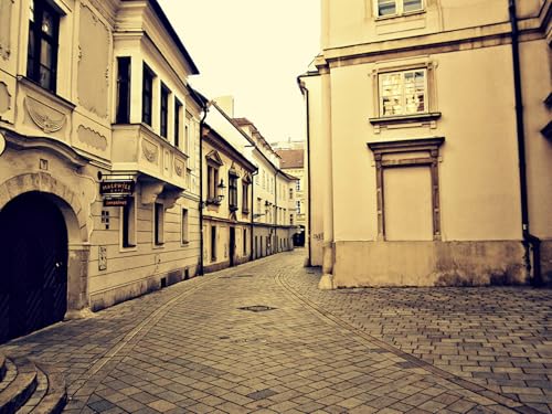 GLHUIOZ 500 Teile, Premium Quality, für Erwachsene und Kinder ab 6 Jahren 500pcs, Slowakei 52x38cm GLHUIOZ 500 Teile, Premium Quality, für Erwachsene und Kinder ab 6 Jahren 500pcs, Slowakei 52x38cm von GLHUIOZ