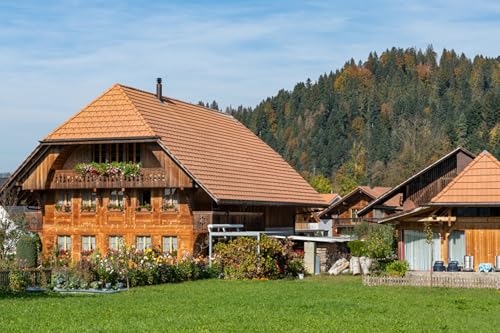 GLHUIOZ Puzzle 1000 Teile,als herausforderndes Puzzle für Erwachsene und Kinder ab 6 Jahren Schweiz 75x50cm von GLHUIOZ