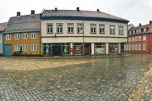 GLHUIOZ Puzzle 1000 Teile Erwachsene Hölzern Puzzles für Erwachsene Lernspiel Herausforderungsspielzeug 1000-teilige Hölzern Puzzles für Erwachsene Kinder Norwegen Fredrikstad Ostfold Street 75x50cm von GLHUIOZ