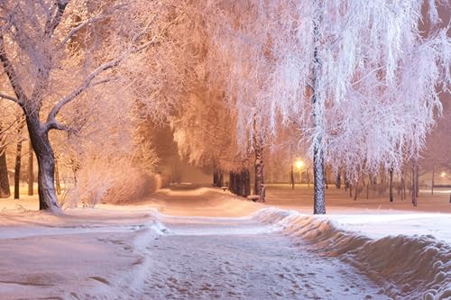 GLHUIOZ Puzzle 1500 Teile,Puzzle für Erwachsene,Impossible Puzzle,Erwachsenenpuzzle ab 6 Jahren. Parks 87x57cm von GLHUIOZ