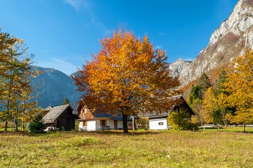 GLHUIOZ Puzzle 1500 Teile Classic Puzzle DIY Kit Holzspielzeug Unique Gift Home Decor Slowenien Bohinj 87x57cm GLHUIOZ Puzzle 1500 Teile Classic Puzzle DIY Kit Holzspielzeug Unique Gift Home Decor Slowenien Bohinj 87x57cm von GLHUIOZ