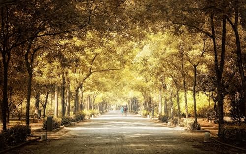 GLHUIOZ Puzzle 1500 Teile Erwachsene Hölzern Puzzles für Erwachsene Lernspiel Herausforderungsspielzeug 1500-teilige Hölzern Puzzles für Erwachsene Kinder Parks 87x57cm GLHUIOZ Puzzle 1500 Teile Erwachsene Hölzern Puzzles für Erwachsene Lernspiel Herausforderungsspielzeug 1500-teilige Hölzern Puzzles für Erwachsene Kinder Parks 87x57cm von GLHUIOZ