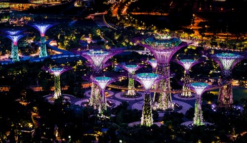 GLHUIOZ Puzzle 500 Teile,Puzzle für Erwachsene, Impossible Puzzle,Puzzle farbenfrohes Legespiel,Geschicklichkeitsspiel für die ganze Familie, Singapore Gardens von 52x38cm GLHUIOZ Puzzle 500 Teile,Puzzle für Erwachsene, Impossible Puzzle,Puzzle farbenfrohes Legespiel,Geschicklichkeitsspiel für die ganze Familie, Singapore Gardens von 52x38cm von GLHUIOZ