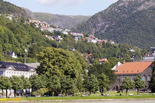 GLHUIOZ Puzzle 500 Teile Classic Puzzle DIY Kit Holzspielzeug Unique Gift Home Decor Norwegen 52x38cm von GLHUIOZ