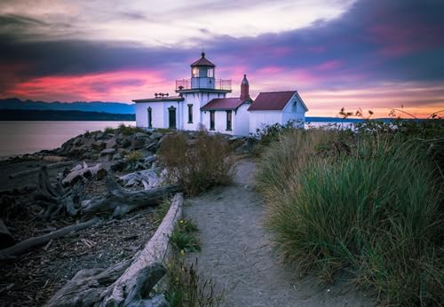 GLHUIOZ Puzzle 500 Teile Classic Puzzle DIY Kit Holzspielzeug Unique Gift Home Decor Parks in Seattle, USA 52x38cm GLHUIOZ Puzzle 500 Teile Classic Puzzle DIY Kit Holzspielzeug Unique Gift Home Decor Parks in Seattle, USA 52x38cm von GLHUIOZ