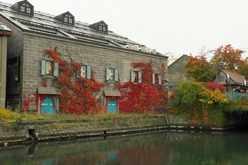 GLHUIOZ Puzzle 500 Teile DIY Wohnkultur Erwachsene Puzzle DIY Kit Holzspielzeug Einzigartiges Geschenk Wohnkultur Otaru, Hokkaido 52x38cm GLHUIOZ Puzzle 500 Teile DIY Wohnkultur Erwachsene Puzzle DIY Kit Holzspielzeug Einzigartiges Geschenk Wohnkultur Otaru, Hokkaido 52x38cm von GLHUIOZ