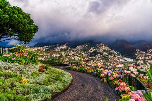 GLHUIOZ Puzzle 500 Teile DIY Wohnkultur Erwachsene Puzzle DIY Kit Holzspielzeug Einzigartiges Geschenk Wohnkultur Portugiesische Inseln 52x38cm GLHUIOZ Puzzle 500 Teile DIY Wohnkultur Erwachsene Puzzle DIY Kit Holzspielzeug Einzigartiges Geschenk Wohnkultur Portugiesische Inseln 52x38cm von GLHUIOZ