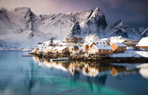 GLHUIOZ Puzzle 500 Teile Erwachsene Hölzern Puzzles für Erwachsene Lernspiel Herausforderungsspielzeug 500-teilige Hölzern Puzzles für Erwachsene Kinder Berge Küste Lofoten Norwegen 52x38cm GLHUIOZ Puzzle 500 Teile Erwachsene Hölzern Puzzles für Erwachsene Lernspiel Herausforderungsspielzeug 500-teilige Hölzern Puzzles für Erwachsene Kinder Berge Küste Lofoten Norwegen 52x38cm von GLHUIOZ