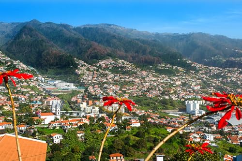 GLHUIOZ Puzzle 500 Teile Klassische Puzzle Erwachsene Puzzle DIY Kit Holzspielzeug Einzigartiges Geschenk Moderne Wohnkultur Portugal 52x38cm GLHUIOZ Puzzle 500 Teile Klassische Puzzle Erwachsene Puzzle DIY Kit Holzspielzeug Einzigartiges Geschenk Moderne Wohnkultur Portugal 52x38cm von GLHUIOZ