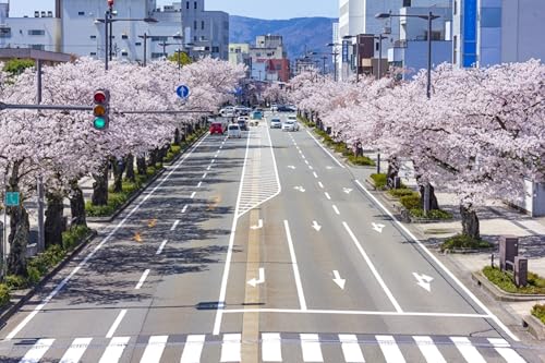 GLHUIOZ Puzzles 1500 Teile Erwachsene Puzzles für Erwachsene Lernspiel Herausforderung Spielzeug 1500 Teile Puzzles für Erwachsene Kinder Japan Tokio blühende Sakura 87x57cm GLHUIOZ Puzzles 1500 Teile Erwachsene Puzzles für Erwachsene Lernspiel Herausforderung Spielzeug 1500 Teile Puzzles für Erwachsene Kinder Japan Tokio blühende Sakura 87x57cm von GLHUIOZ