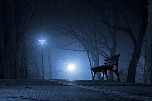 GLHUIOZ Puzzles FüR Erwachsene 1500 Teile Holzpuzzle Hands On Game Family Decoration Parks Nebel 87x57cm GLHUIOZ Puzzles FüR Erwachsene 1500 Teile Holzpuzzle Hands On Game Family Decoration Parks Nebel 87x57cm von GLHUIOZ