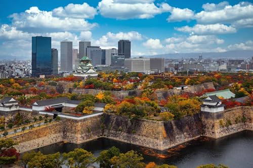 GLHUIOZ Puzzles für Erwachsene ， Puzzles ， 500 Stück ， Holzpuzzle Wolkenkratzer Japan Osaka Park 52x38cm von GLHUIOZ