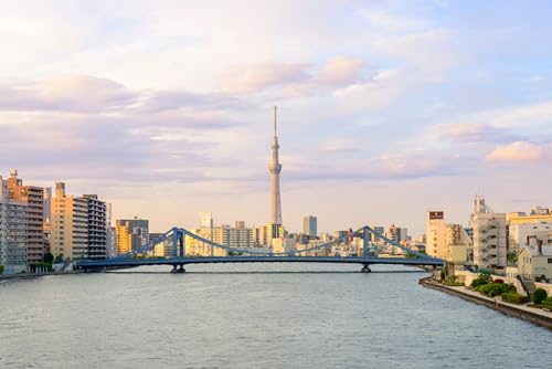 GLHUIOZ Puzzles für Erwachsene 1500 Teile Puzzles für Erwachsene Lernspiel Herausforderung Spielzeug 1500 Teile Holzpuzzles für Erwachsene Kinder Japan Tokio Flüsse Brücken 87x57cm von GLHUIOZ