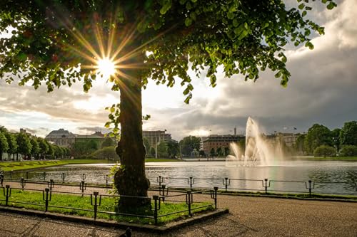 GLHUIOZ Puzzlespiele für Erwachsene, 1000 Puzzleteile, handgefertigte DIY-Anpassung, einzigartige Norwegen Brunnen Bergen 75x50cm von GLHUIOZ